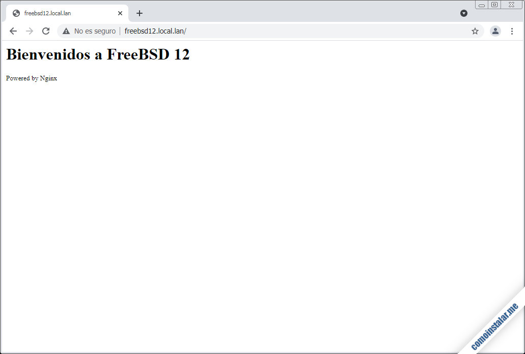 como configurar el servidor web nginx en freebsd 12