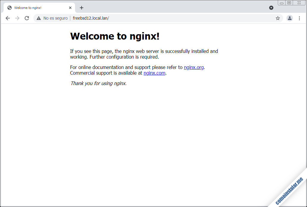 como instalar el servidor web nginx en freebsd 12