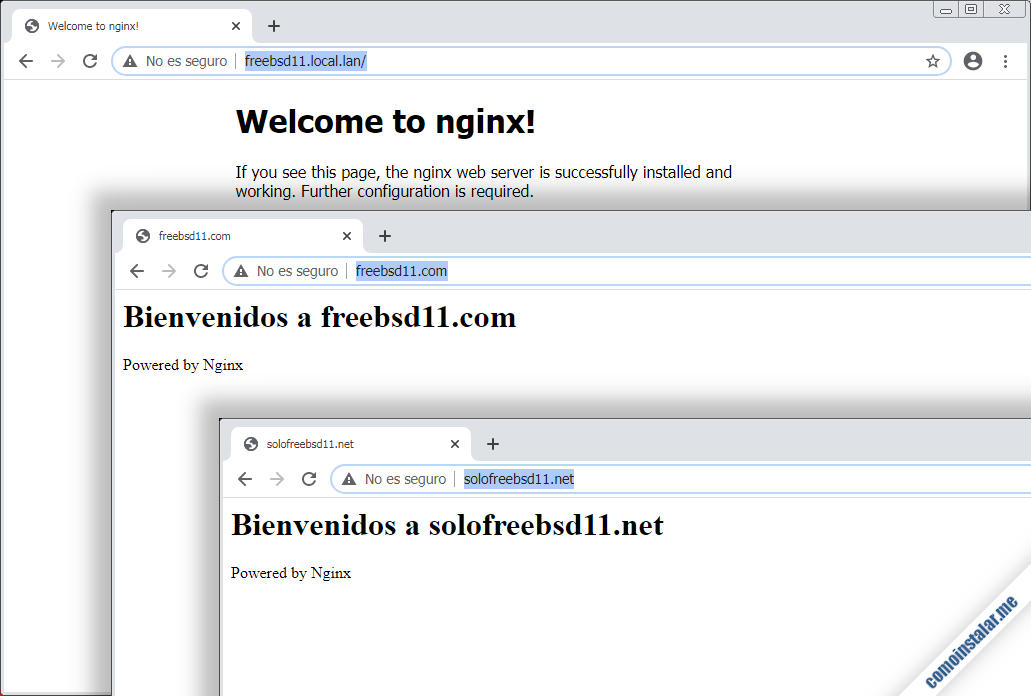 servidores virtuales de nginx en freebsd 11