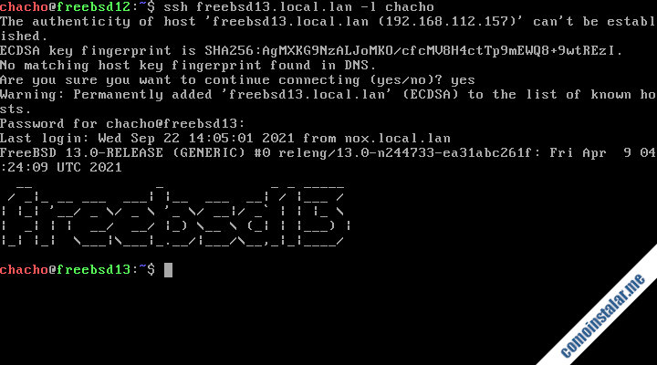 como instalar y configurar el servicio ssh en freebsd 13
