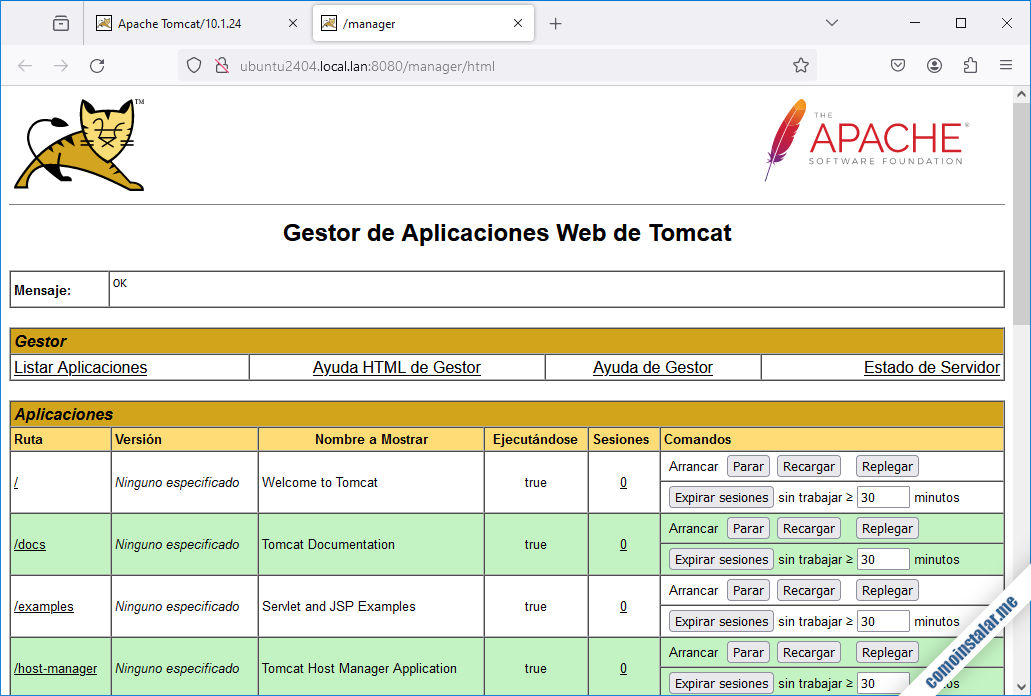 tomcat 10 para ubuntu 24.04 lts noble numbat